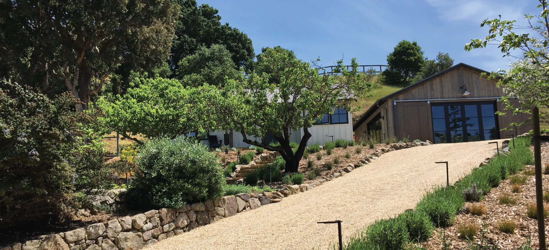 Home-Page-e1648147203252