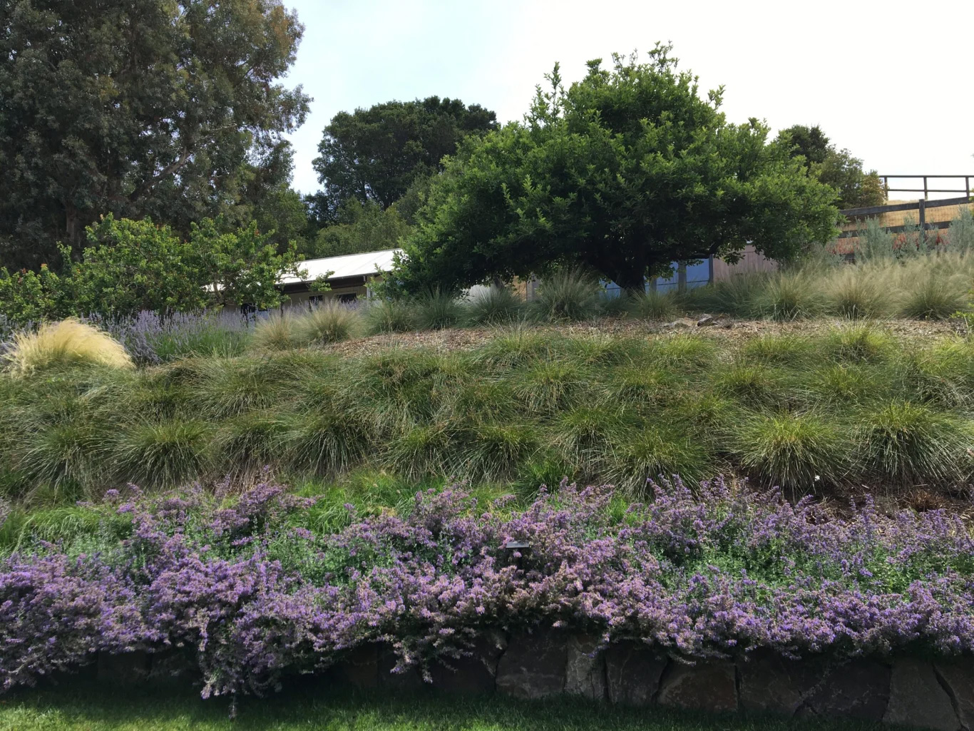 woodside-3